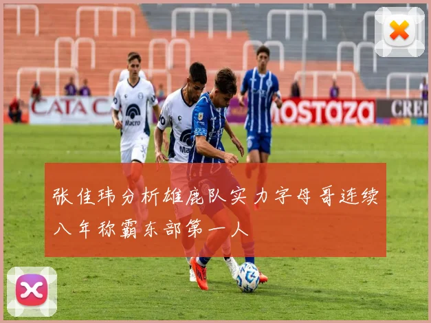 张佳玮分析雄鹿队实力字母哥连续八年称霸东部第一人