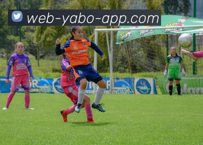 多媒体互动体验